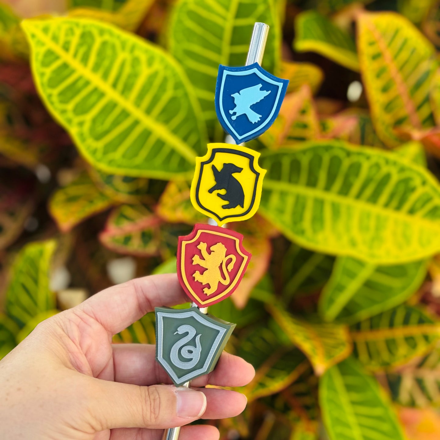 Choose Your House Straw Topper